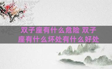 双子座有什么危险 双子座有什么坏处有什么好处